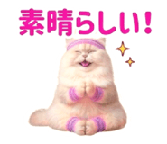 854105470