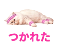 854105476