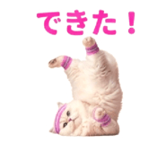 854105483