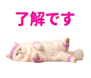 854105493