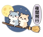 854107344