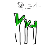 854121545
