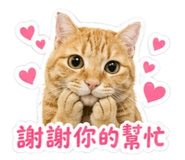 854121912