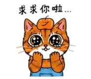 854125971