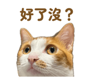 854132263