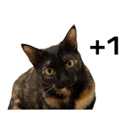 854132354