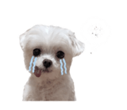 854132420