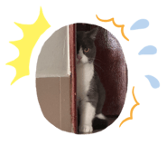 854132552