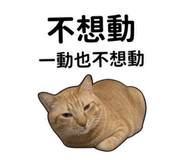 854133062