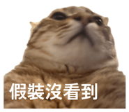 854134533