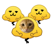 854134551