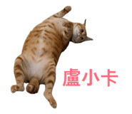 854134565
