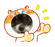 854135118