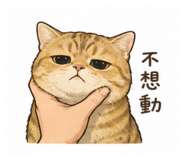 854137264
