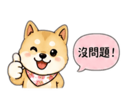 854137650