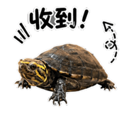 854137872
