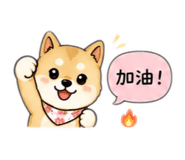 854137907