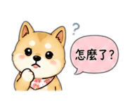 854137908