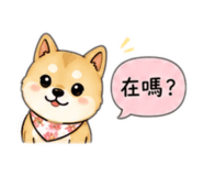 854137909