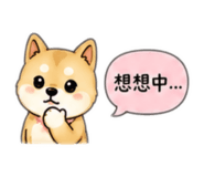 854137914