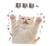 854139065