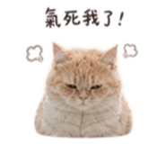 854139067