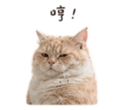 854139069