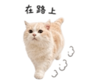 854139071