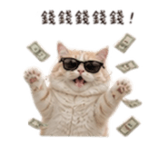 854139078