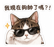 854140294