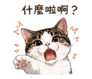 854142674