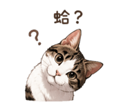 854142676