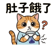 854146636