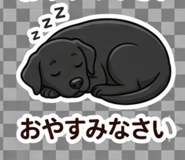 854149660