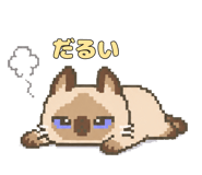 854151077