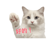 854154697