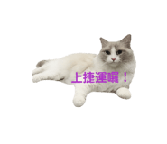 854154698