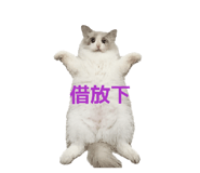 854154699