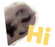 854155986
