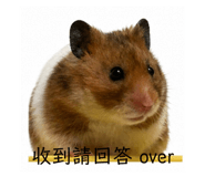 854157056