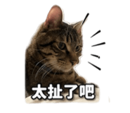 854161267