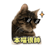 854161270