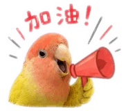 854163734