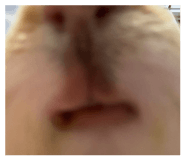 854165151