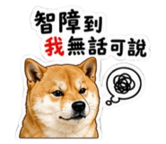 854170027