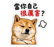 854170028