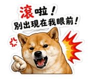 854170031