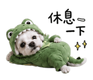854173135