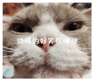 854173778