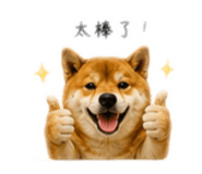 854176286